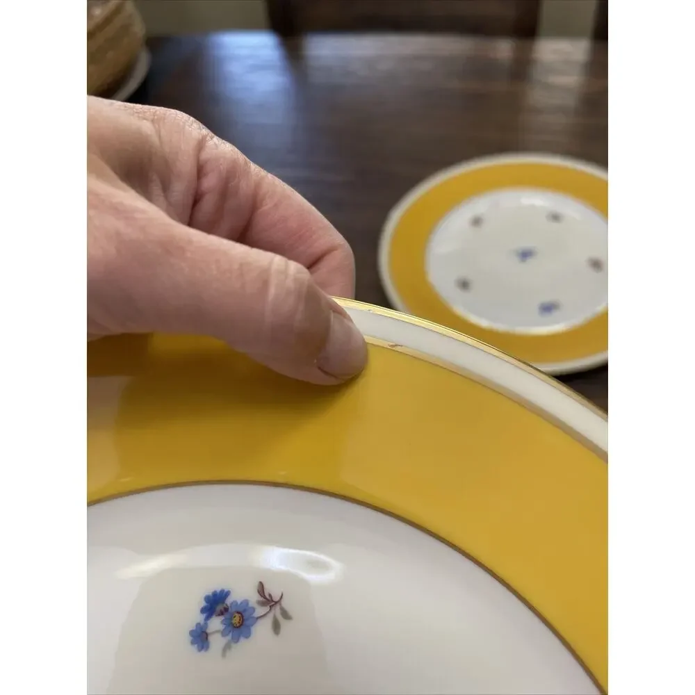Furstenberg Porcelain Vintage Dinner Plates Yellow Gold Flowers Germany